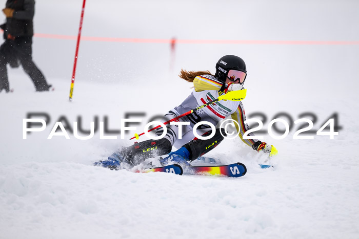 FIS Slalom Damen + Herren, 07.12.2024