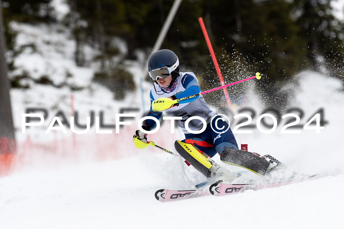 FIS Slalom Damen + Herren, 07.12.2024