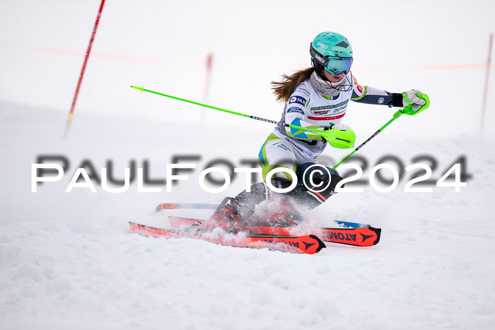 FIS Slalom Damen + Herren, 07.12.2024