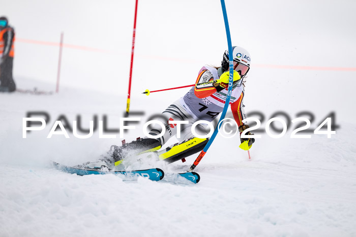 FIS Slalom Damen + Herren, 07.12.2024