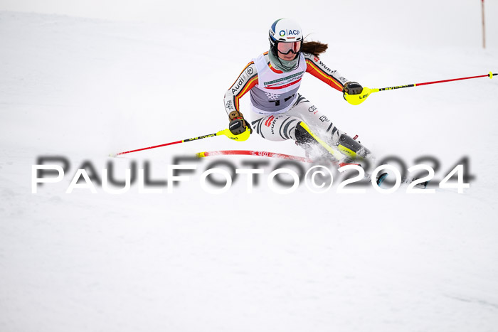 FIS Slalom Damen + Herren, 07.12.2024