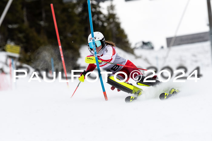 FIS Slalom Damen + Herren, 07.12.2024