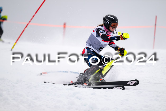 FIS Slalom Damen + Herren, 07.12.2024