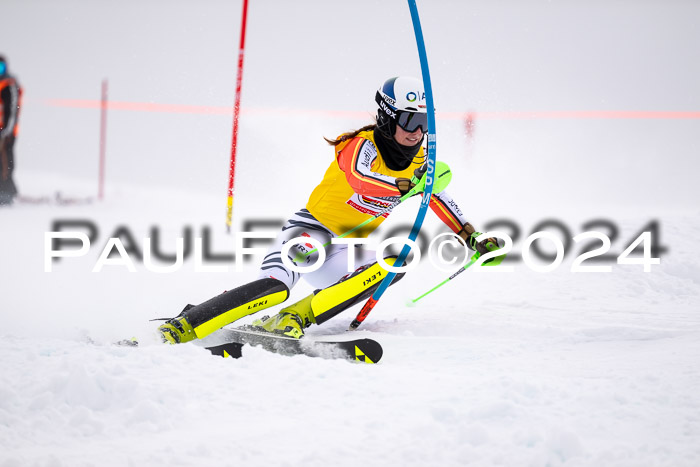 FIS Slalom Damen + Herren, 07.12.2024