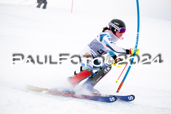 FIS Slalom Damen + Herren, 07.12.2024