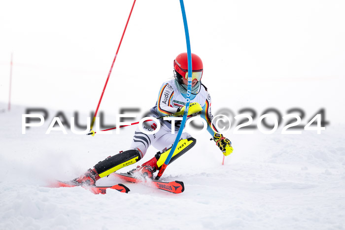 FIS Slalom Damen + Herren, 07.12.2024