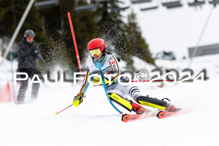 FIS Slalom Damen + Herren, 07.12.2024