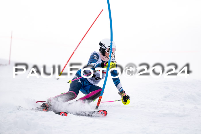 FIS Slalom Damen + Herren, 07.12.2024