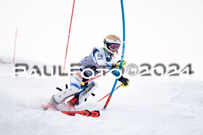 FIS Slalom Damen + Herren, 07.12.2024