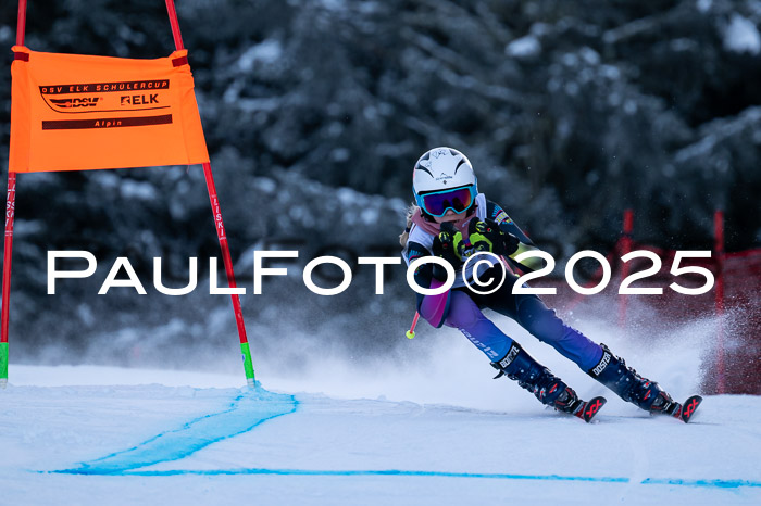 DSV ELK Schülercup Alpin U14 RS+, 01.02.2025