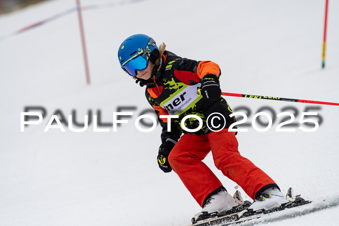 Ziener Cup Werdenfels U8,U10,U12,  01.02.2025
