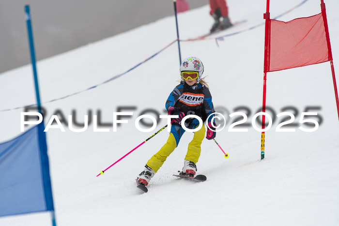 Ziener Cup Werdenfels U8,U10,U12,  01.02.2025