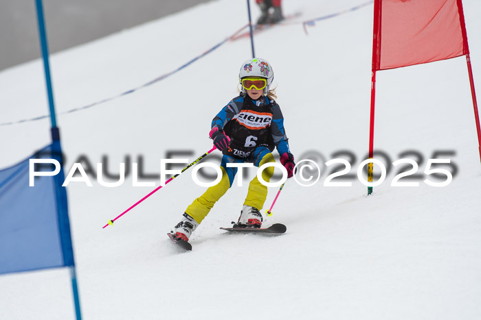 Ziener Cup Werdenfels U8,U10,U12,  01.02.2025