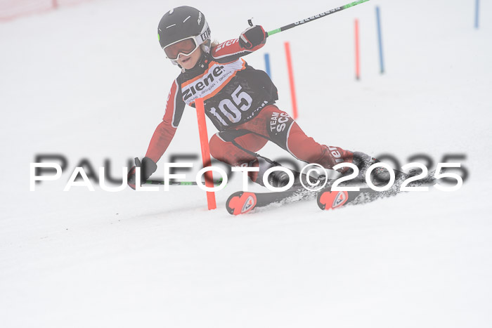 Ziener Cup Werdenfels U8,U10,U12,  01.02.2025