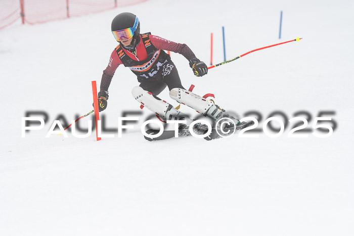 Ziener Cup Werdenfels U8,U10,U12,  01.02.2025