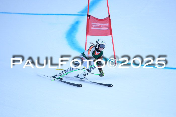 NJC Abfahr Herren, 07.02.2024