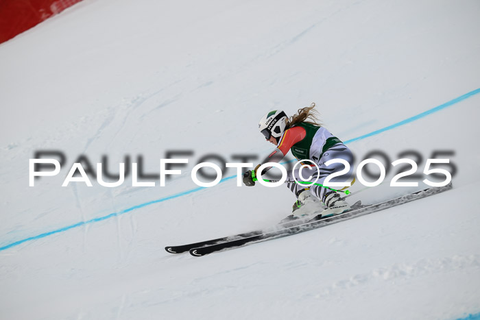 NJC Abfahr Herren, 07.02.2024