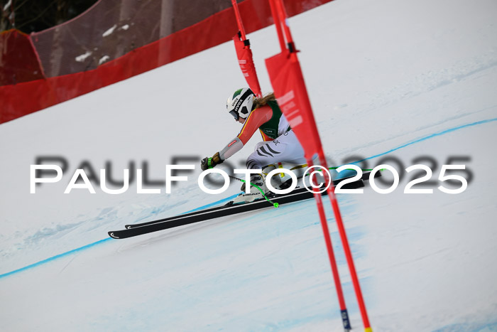 NJC Abfahr Herren, 07.02.2024