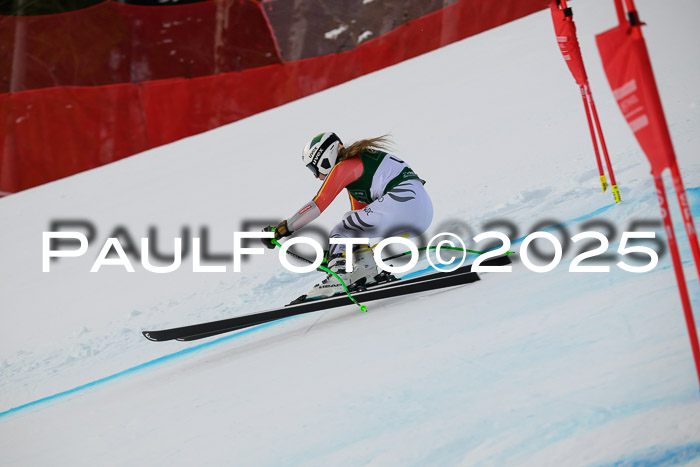 NJC Abfahr Herren, 07.02.2024