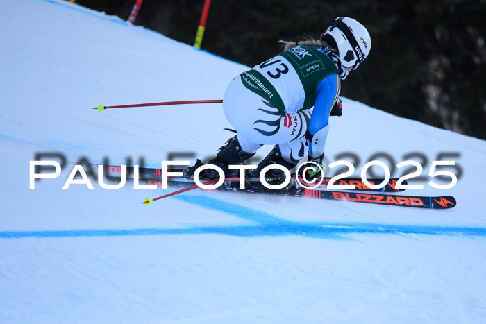 NJC Abfahr Herren, 07.02.2024