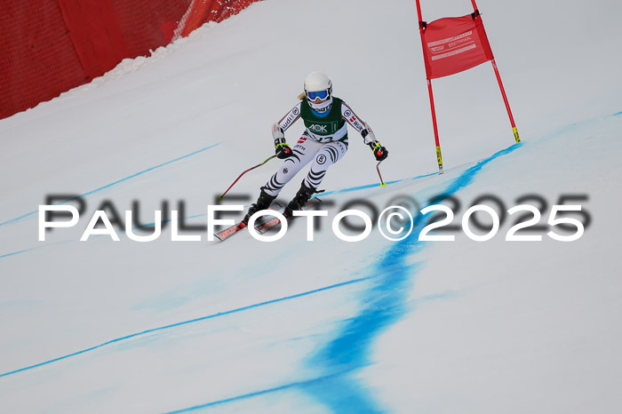 NJC Abfahr Herren, 07.02.2024