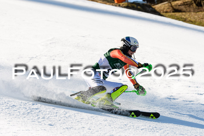 FIS Slalom Damen + Herren, 08.03.2025