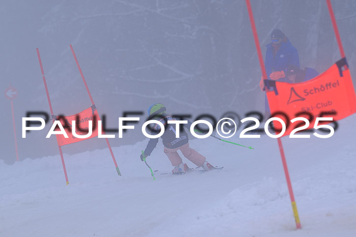 Ziener Cup Finale, Quali + PSL, 29.03.2025