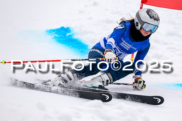Actanol Schülercup Alpin U14 SL, 14.02.2026