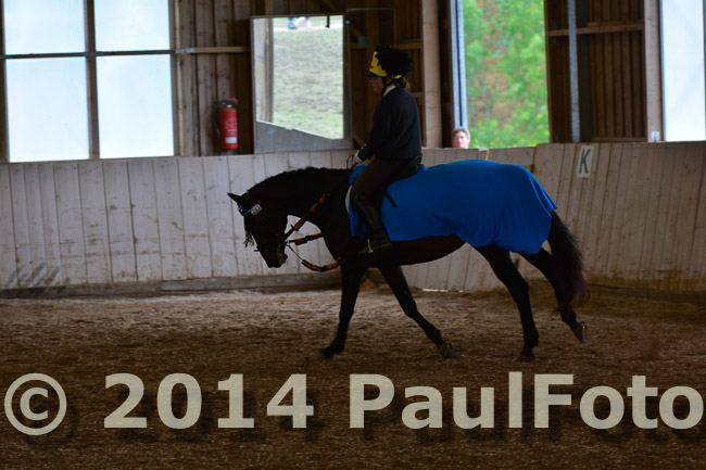 27. Reitturnier WBO/LPO