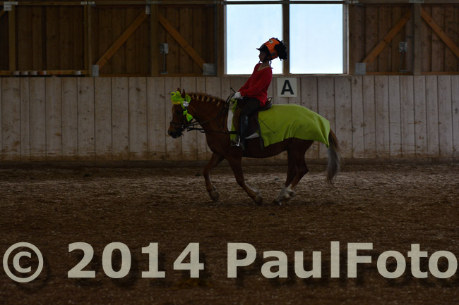 27. Reitturnier WBO/LPO