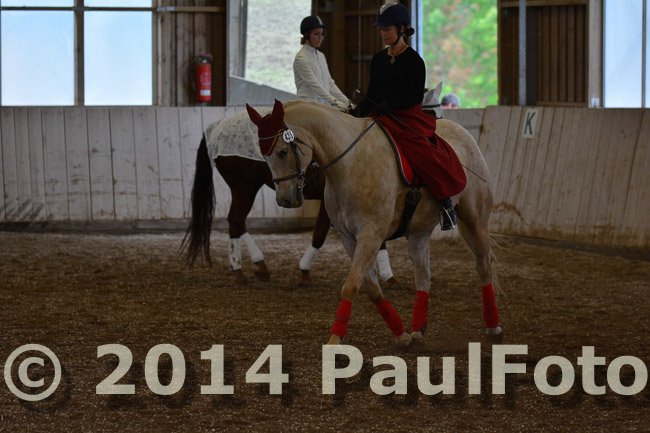 27. Reitturnier WBO/LPO