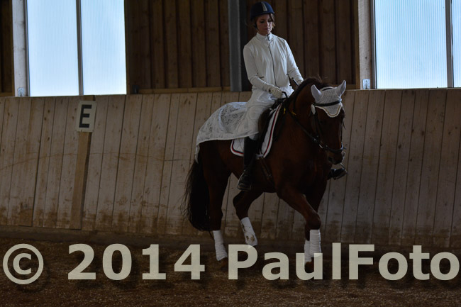 27. Reitturnier WBO/LPO