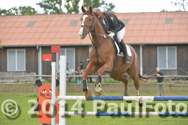  27. Reitturnier WBO/LPO