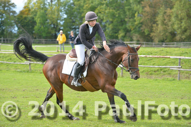  27. Reitturnier WBO/LPO