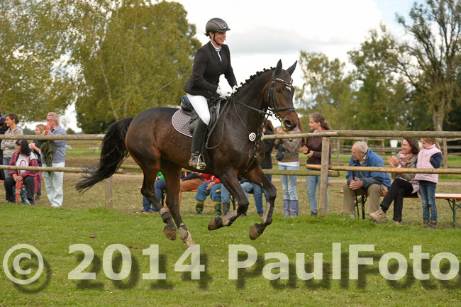  27. Reitturnier WBO/LPO