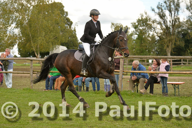  27. Reitturnier WBO/LPO