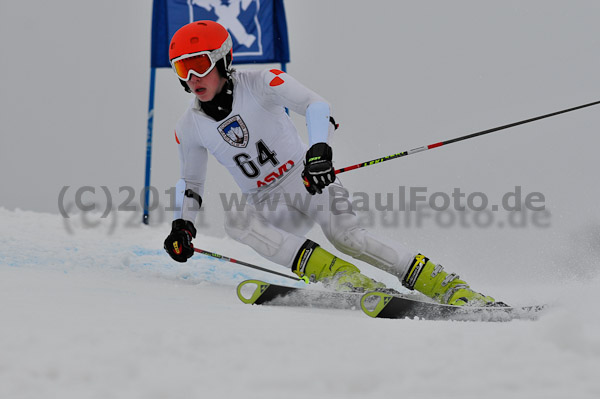 FIS-NJR Herren RS 2011