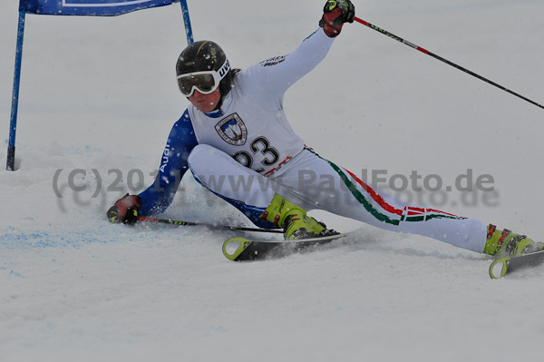 FIS-NJR Herren RS 2011