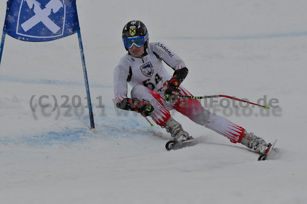 FIS-NJR Herren RS 2011