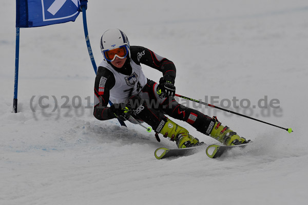 FIS-NJR Herren RS 2011