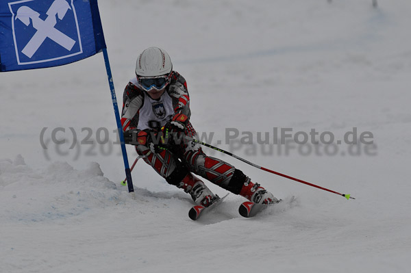 FIS-NJR Herren RS 2011