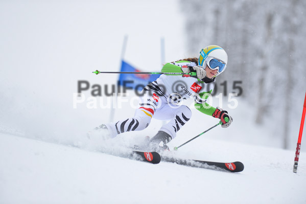 Int. Werdenfelser Kinderskitag + BZB Cup 2015