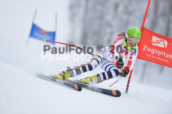 Int. Werdenfelser Kinderskitag + BZB Cup 2015