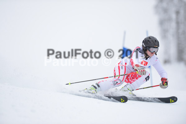 Int. Werdenfelser Kinderskitag + BZB Cup 2015