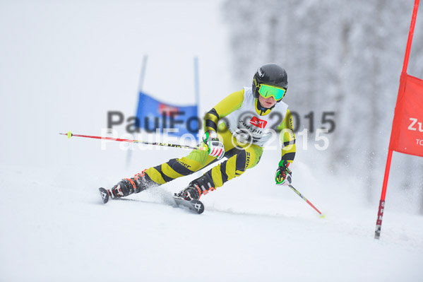 Int. Werdenfelser Kinderskitag + BZB Cup 2015