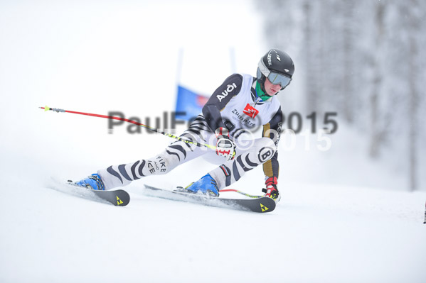 Int. Werdenfelser Kinderskitag + BZB Cup 2015