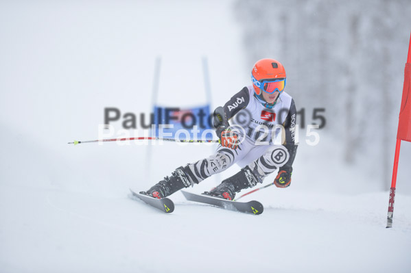 Int. Werdenfelser Kinderskitag + BZB Cup 2015