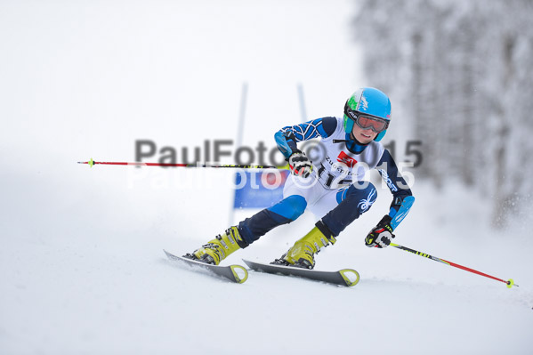 Int. Werdenfelser Kinderskitag + BZB Cup 2015