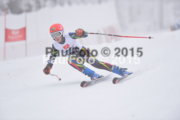 Int. Werdenfelser Kinderskitag + BZB Cup 2015