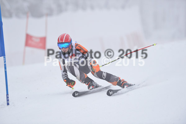 Int. Werdenfelser Kinderskitag + BZB Cup 2015